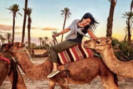 Marrakech Camel Ride